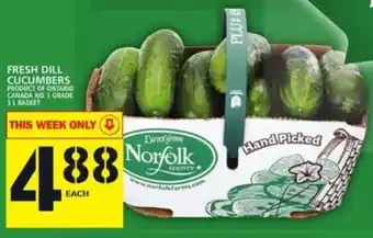 Food Basics Fresh dill cucumbers offer