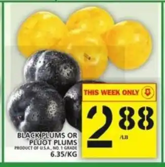 Food Basics Black plums or pluot plums offer
