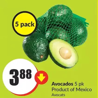 FreshCo Avocados offer