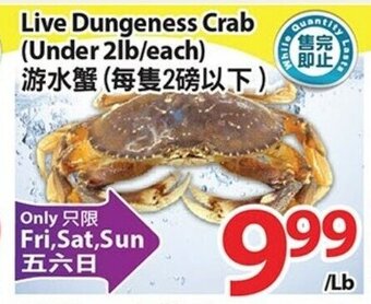 T&T Supermarket Live Dungeness Crab offer