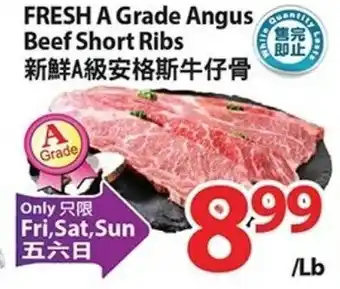 T&T Supermarket FRESH A Grade Angus Beef Short Ribs offer