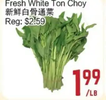 C&C Supermarket Fresh White Ton Choy offer