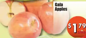 Gala Apples