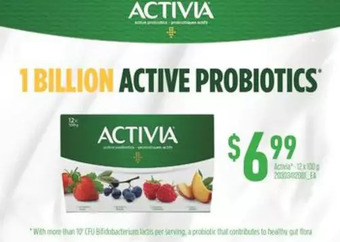 Independent Grocer Activia offer