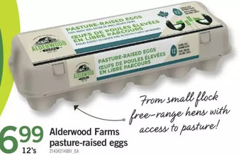 Fortinos Alderwood farms pasture-raised eggs offer
