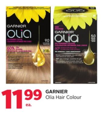 Rexall Garnier olia hair colour offer