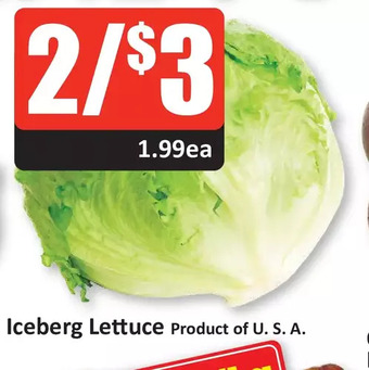 Starsky Iceberg lettuce offer
