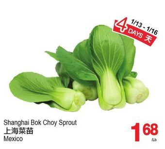 T&T Supermarket Shanghai bok choy sprout offer