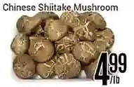Nations Fresh Foods Chinese shiitake mushroom offer