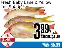 Nations Fresh Foods Fresh baby lane & yellow tail snapper offer