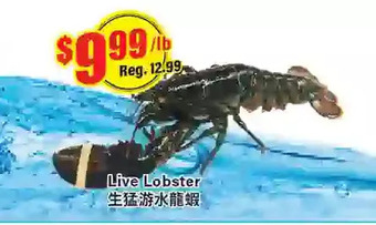 Btrust Supermarket Live lobster offer