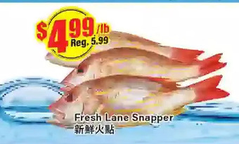 Btrust Supermarket Fresh lane snapper offer