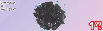 Superking Supermarket Live mussel offer