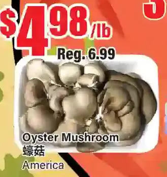 Btrust Supermarket Oyster mushroom offer