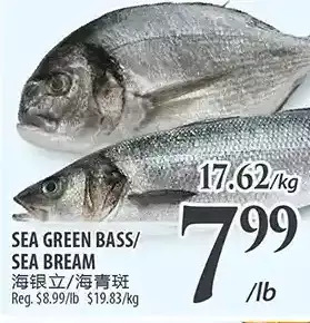 Al Premium Food Mart Sea green bass/sea bream offer