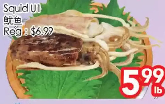 Superking Supermarket Squid u1 offer