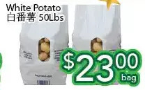 Ample Food Market White potato offer
