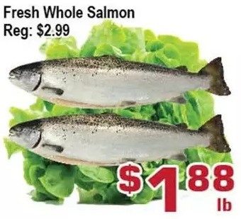 Top Food Supermarket Fresh whole salmon offer