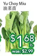 Ample Food Market Yu choy miu offer