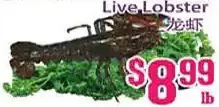 Grant's Foodmart Live lobster offer