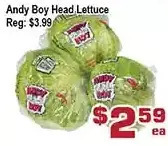 Top Food Supermarket Andy boy head lettuce offer