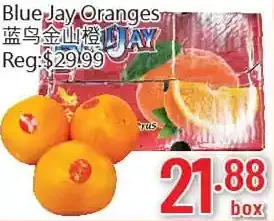 Blue jay oranges