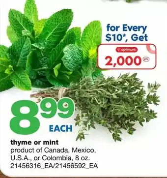 Wholesale Club Thyme or mint offer