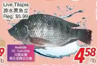 Foody World Live tilapia offer