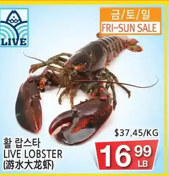 H-Mart Live lobster offer