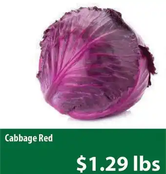 Healthy Planet Cabbage red offer