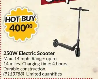 Princess Auto 250w electric scooter offer