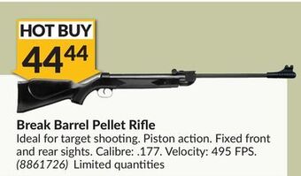 Princess Auto Break barrel pellet rifle offer