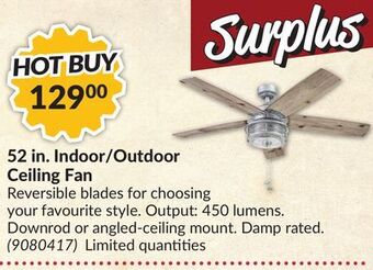 Princess Auto 52 in. indoor/outdoor ceiling fan offer