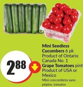 FreshCo Mini Seedless Cucumbers 6 pk, Grape Tomatoes offer