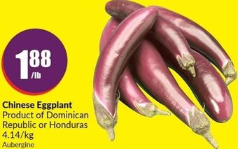 FreshCo Chinese Eggplant offer