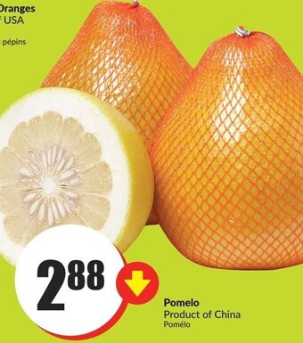 FreshCo Pomelo offer