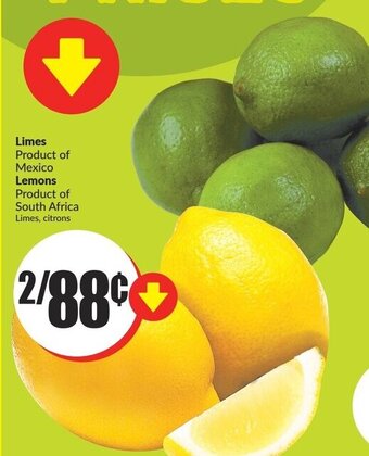 FreshCo Limes or Lemons offer