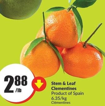 FreshCo Stem & Leaf Clementines offer