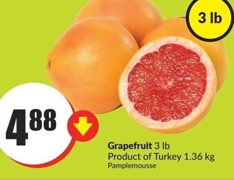 FreshCo Grapefruit offer