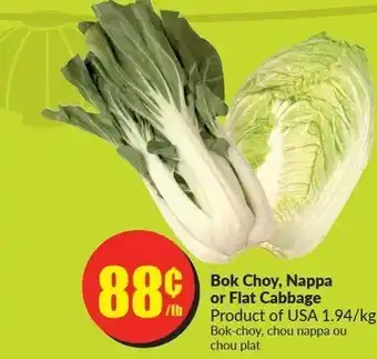 FreshCo Bok Choy, Nappa or Flat Cabbage offer