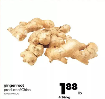 Real Canadian Superstore Ginger root offer