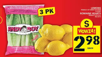 Food Basics Lemons | romaine hearts offer