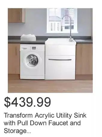 Costco Acrylic utility sink with pull down faucet and storage offer