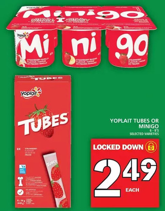 Food Basics Yoplait tubes or minigo offer