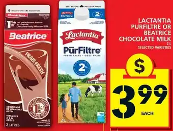 Food Basics Lactantia purfiltre or beatrice chocolate milk offer