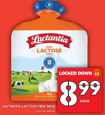 Food Basics Lactantia lactose free milk offer