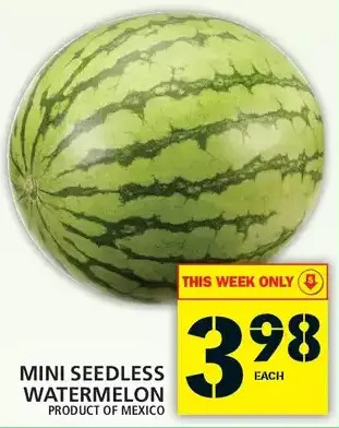 Food Basics Mini seedless watermelon offer
