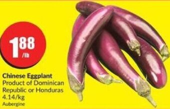 FreshCo Chinese Eggplant offer