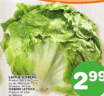 IGA Iceberg Lettuce offer