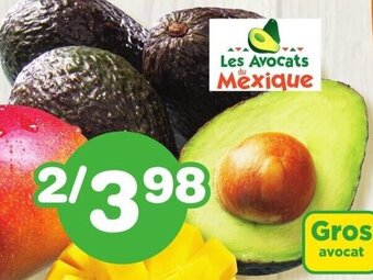IGA Hass Avocado offer